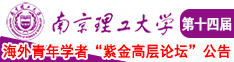 日屄视频在线播放南京理工大学第十四届海外青年学者紫金论坛诚邀海内外英才！